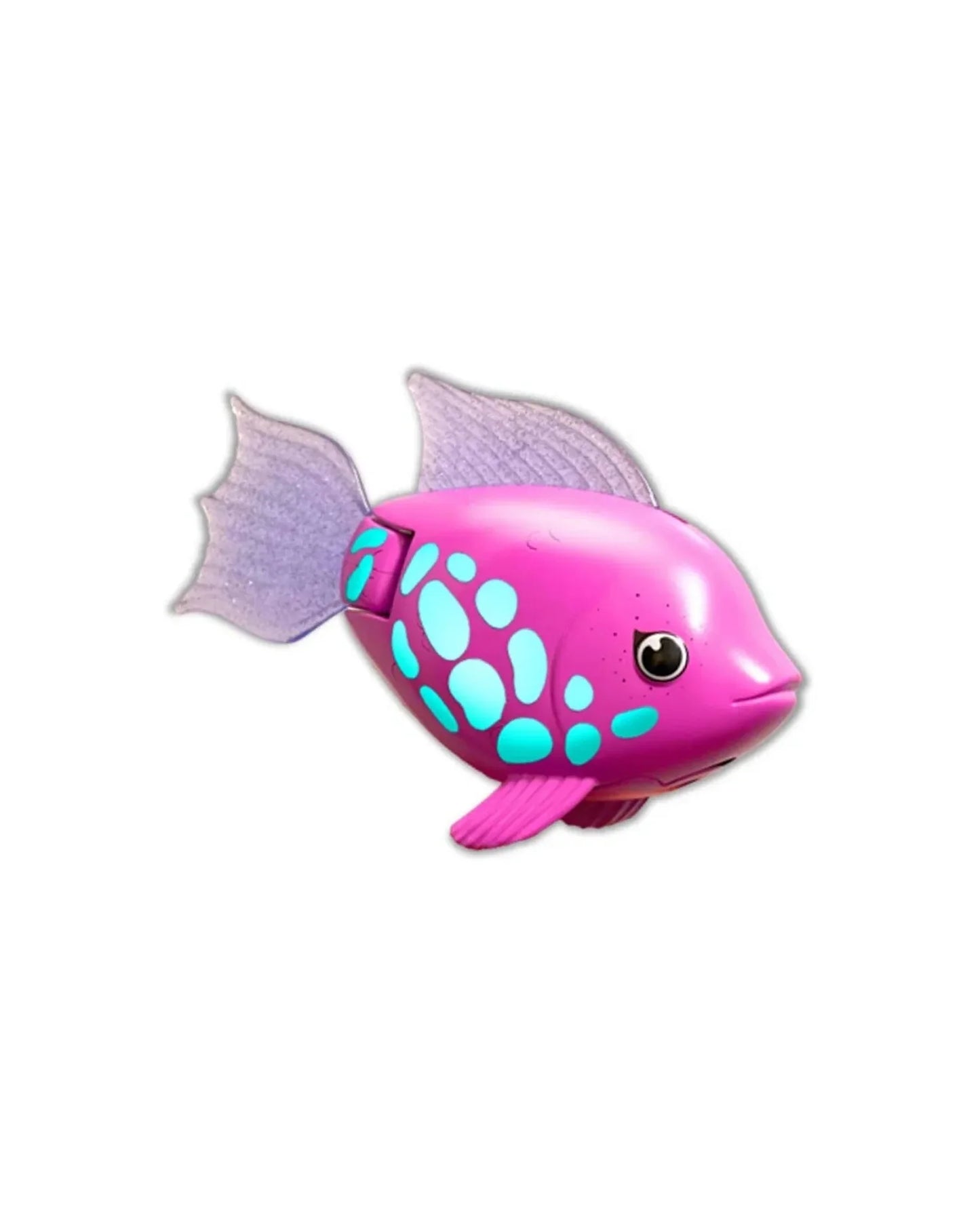 Rainbow Reef Swim Tina Turner