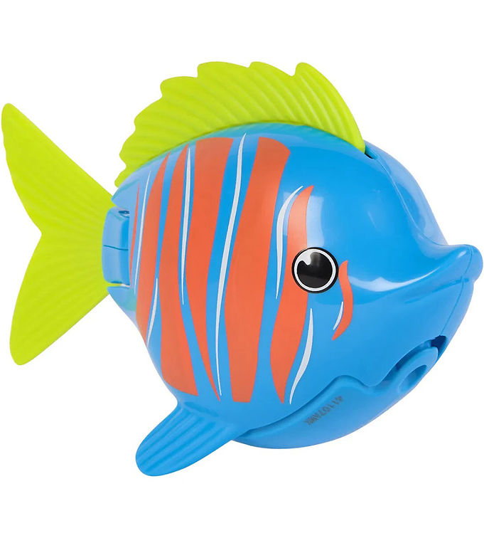 Rainbow Reef Guppie Goldberg